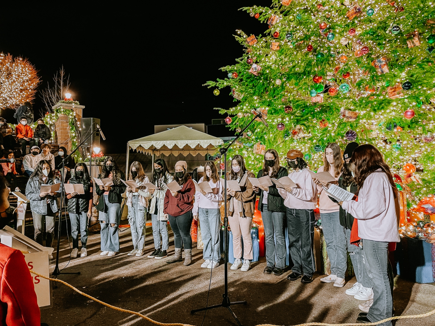 Tree Lighting and Holiday Market Bethany Village